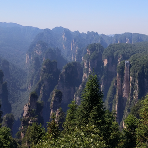 想陪你却染上寂寞