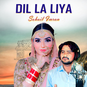 Dil La Liya