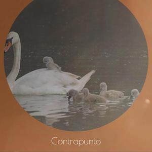 Contrapunto