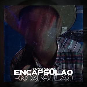 Encapsulao