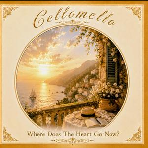 Where Does The Heart Go Now?
