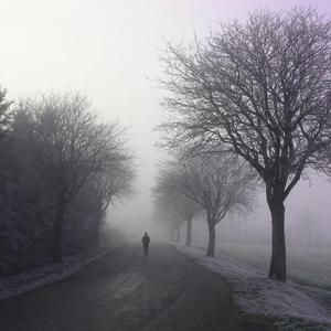 Walk (feat. Backwud Marc)