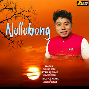 Nollobong
