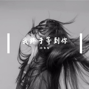 我终于等到你（我终于终于终于等到你）