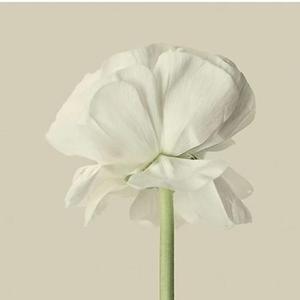 今后我自己流浪