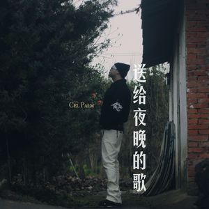 送给夜晚的歌