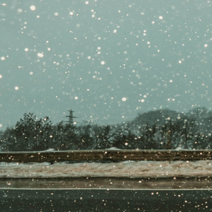 다음 겨울에도 함께일 수 있기를