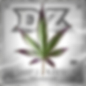 Forgiatos (feat. Cheezealeo)