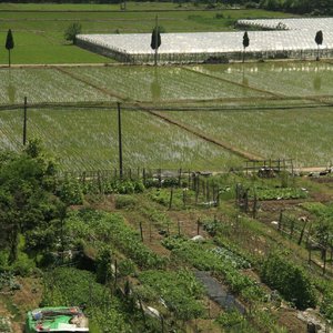 为了你为了我(Live)