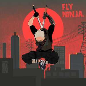 Fly Ninja