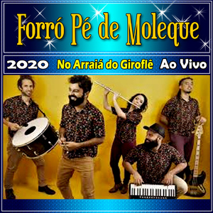 Chegou A Hora Da Fogueira / O Sanfoneiro Só Tocava Isso - Ao Vivo