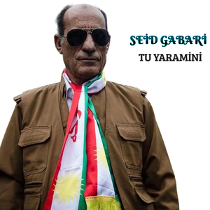Tu Yaramıni