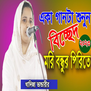 মরি বন্ধুর পিরিতে