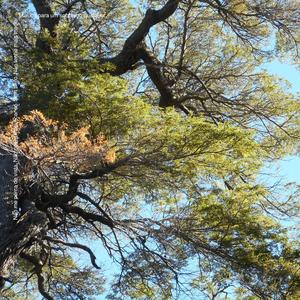 Não me perca de vista