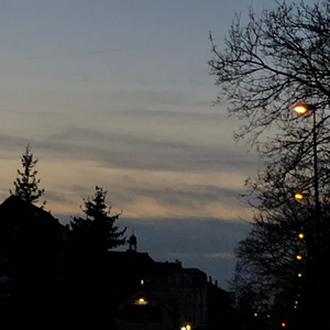 summer street lights