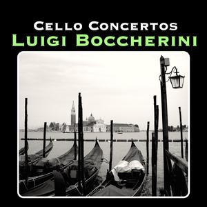 Concerto 9, G482: I. Allegro Moderato