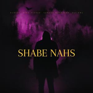 Shabe Nahs (feat. Sorena Montaser, Reza Pishro & Ali Owj)