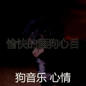 有趣狗情怀