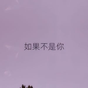 如果不是你