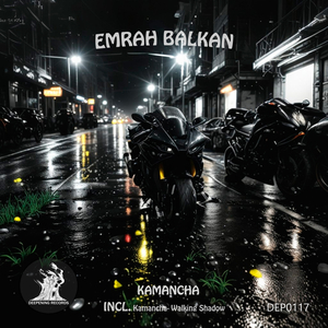 Walking Shadow (Original Mix)