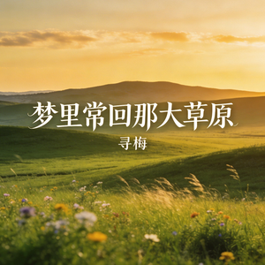 梦里常回那大草原