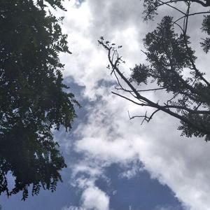 独行侠+他+爱如潮水（翻自 慌树kazi）