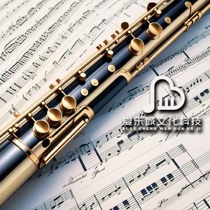 贝多芬 土耳其进行曲主题