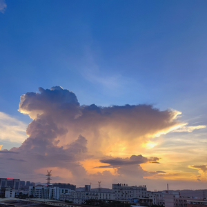 我比流言蜚语更早认识你 只要你说没有 那就是没有