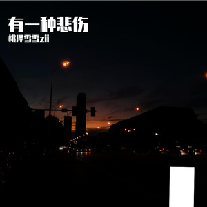有一种悲伤