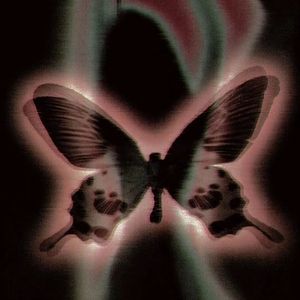 穷极一生到不了的天堂