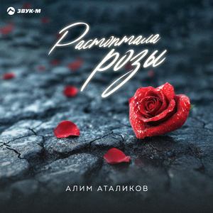 Растоптала розы