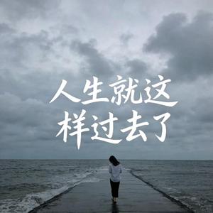 怎麽人生就這樣過去了（女声版）