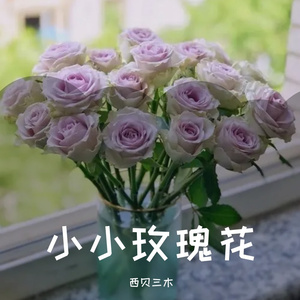 小小玫瑰花