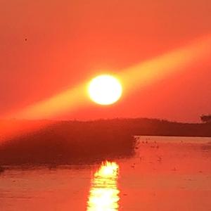 bill germ (feat. dynkkah & likeLACEY)