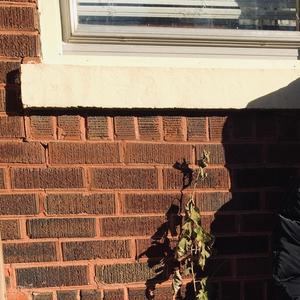 Kolo (feat. Milvo Boy)