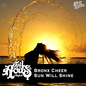 Sun Will Shine (Original Mix)