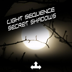 Secret Shadows (Original Mix)
