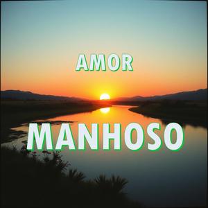 Amor manhoso (Versão Forró)