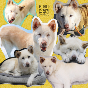 언제나, 언젠가