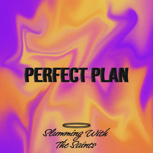 Perfect Plan