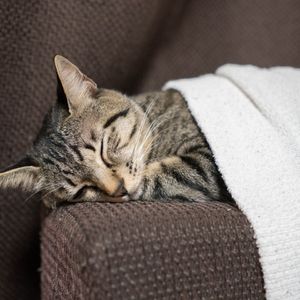 睡眠放松 (空灵)