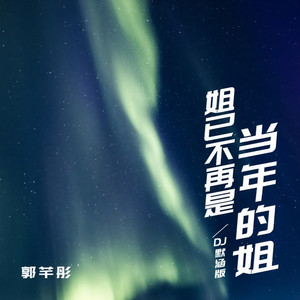 姐已不再是当年的姐 (DJ默涵版)