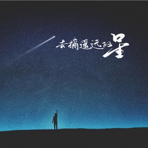 去摘遥远的星