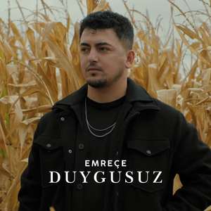 Duygusuz