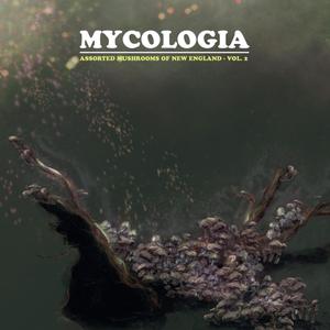 Hypomyces lactifluorum - Lobster Mushroom