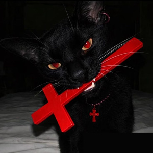 CAT WITH HEADPHONES ON