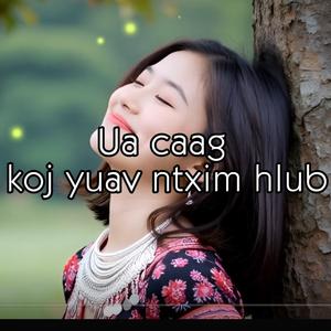 Ua caag koj yuav ntxim hlub