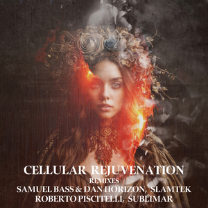 Raum (Sublimar Remix)