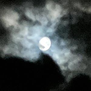 Lets pretend everything is ok 2 (Special Version)