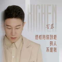 遗憾陪你到老的人不是我 (DJ茅太版)